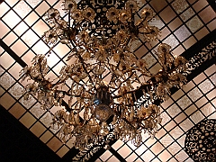 251 Longwood Gardens [2008 August 23]